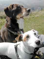 Stanley and Tilly